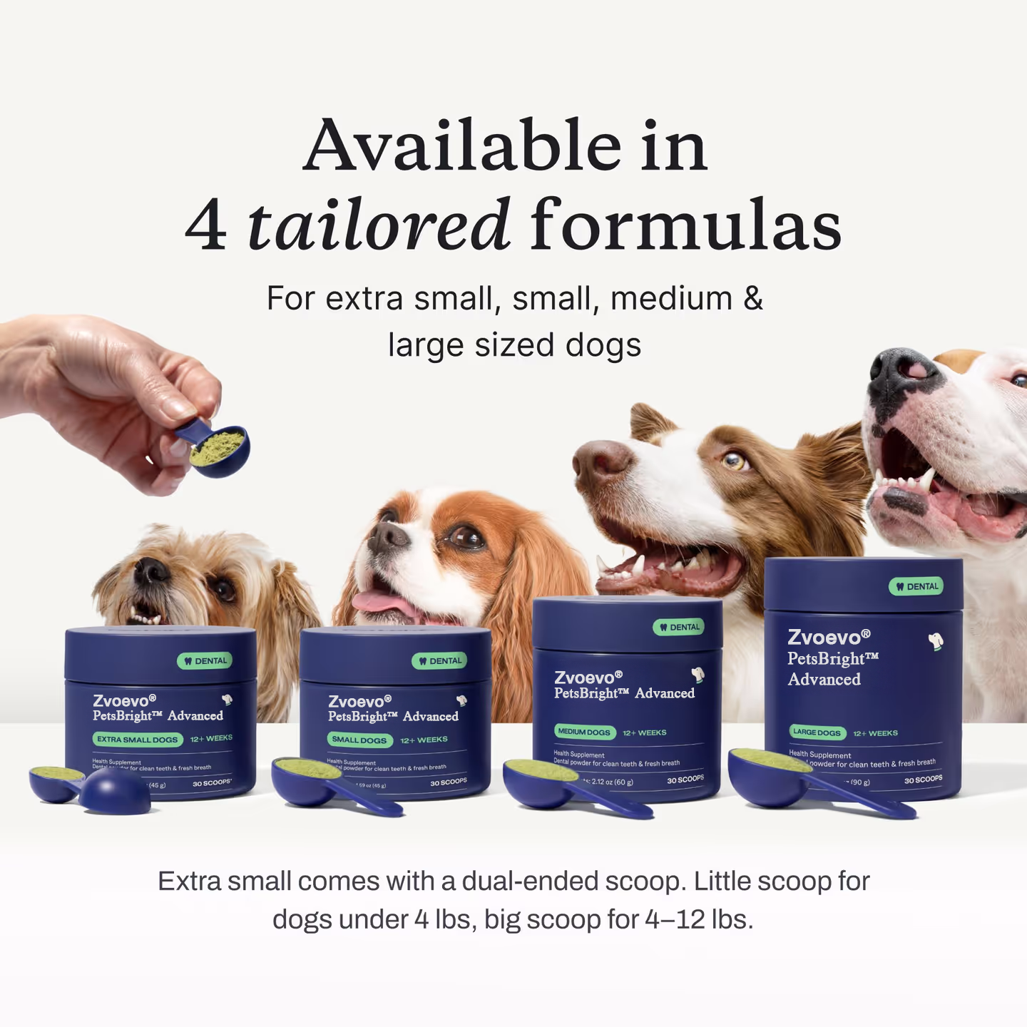 ✨ Zvoevo® PetsBright Advanced Dental Powder for Clean Teeth & Fresh Breath 🐕