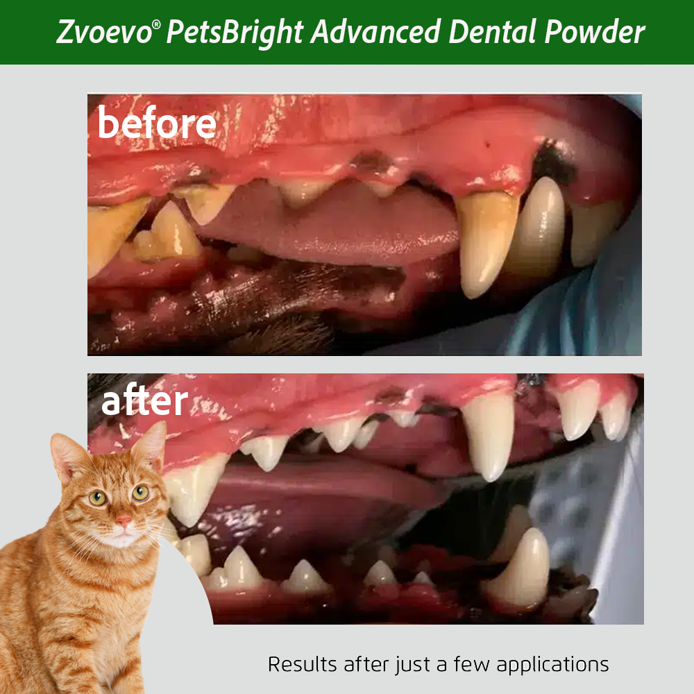 🐾 Zvoevo® PetsBright Advanced Dental Powder for Clean Teeth & Fresh Breath