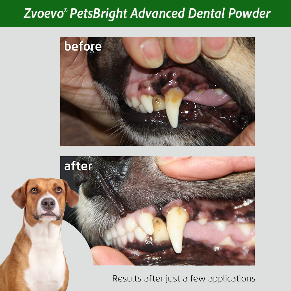 ✨ Zvoevo® PetsBright Advanced Dental Powder for Clean Teeth & Fresh Breath 🐕